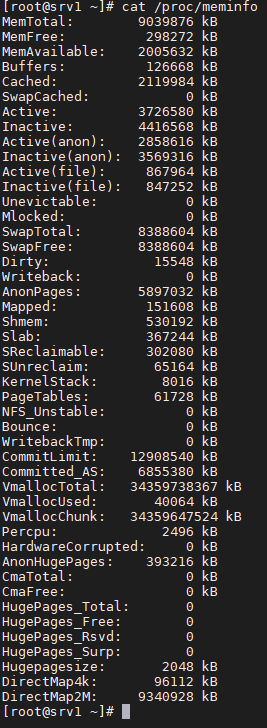 MobaXterm Personal 20.3 RthvzbR26C - Memory information