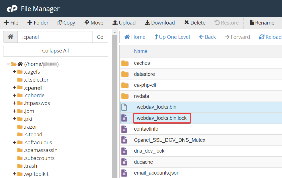 cPanel WebDav not working for a single cPanel account image 6 - cPanel WebDav not working for a single cPanel account