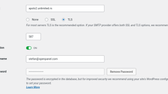 2025 05 06 13 17 344x194 - WordPress SMTP to remote OpenPanel mailserver