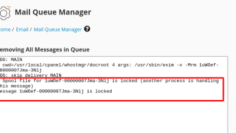 2025 07 01 10 50 344x194 - Exim: Spool file for MSG_ID is locked (another process is handling this message)